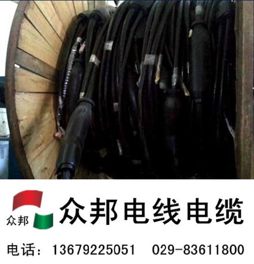 预分支电缆